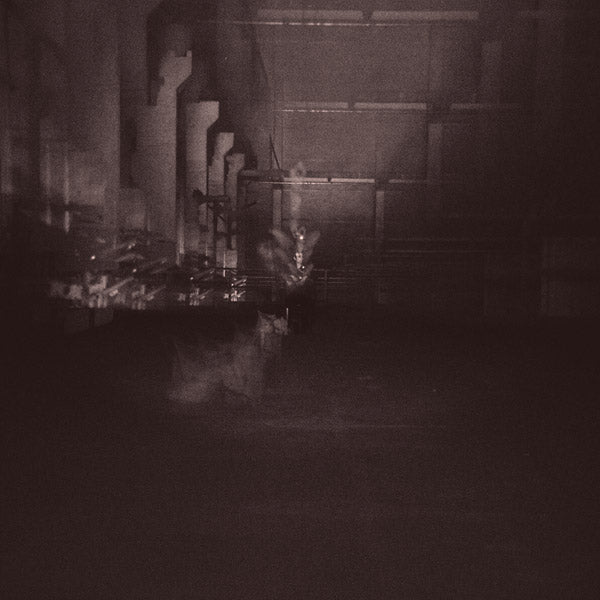 DUB TAYLOR - Caves & Cages | Vinyl