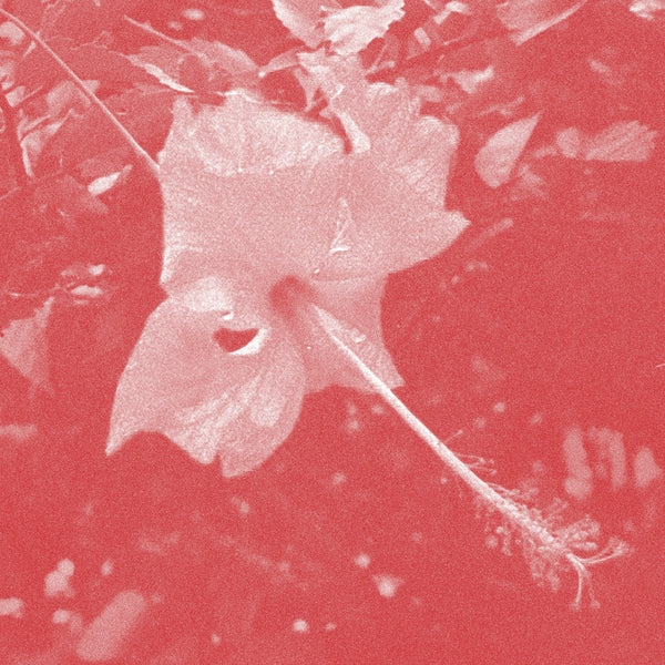 Celer - Poulaine [CD] | CD
