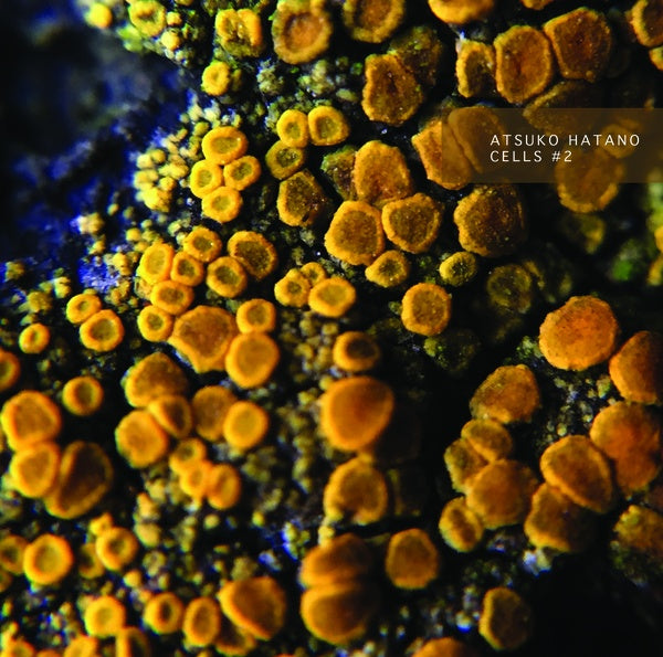 ATSUKO HATANO - Cells #2 | Cassette