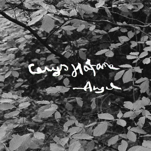 Cerys Hafana | Angel [Lp] | Vinyl