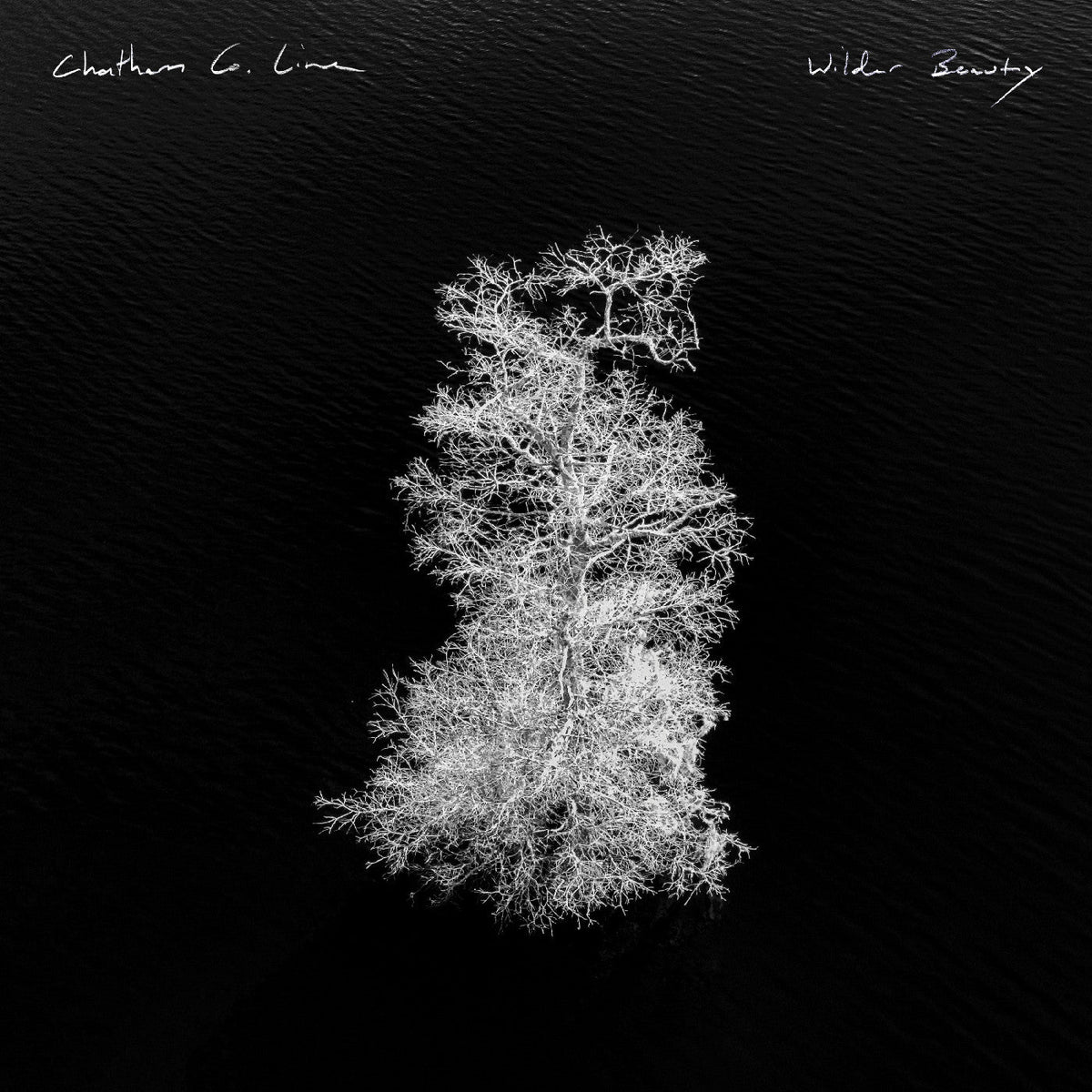 Chatham County Line - Wilder Beauty [CD] | CD
