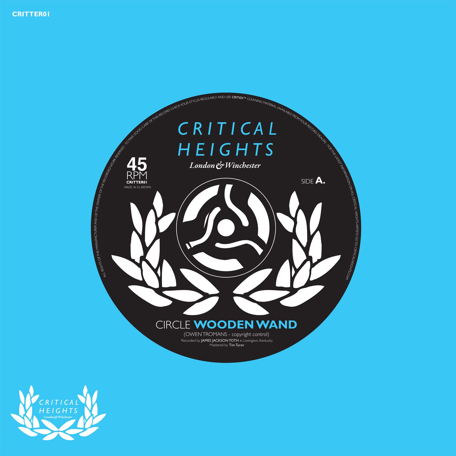 Wooden Wand | Circle - 7 inch | Vinyl