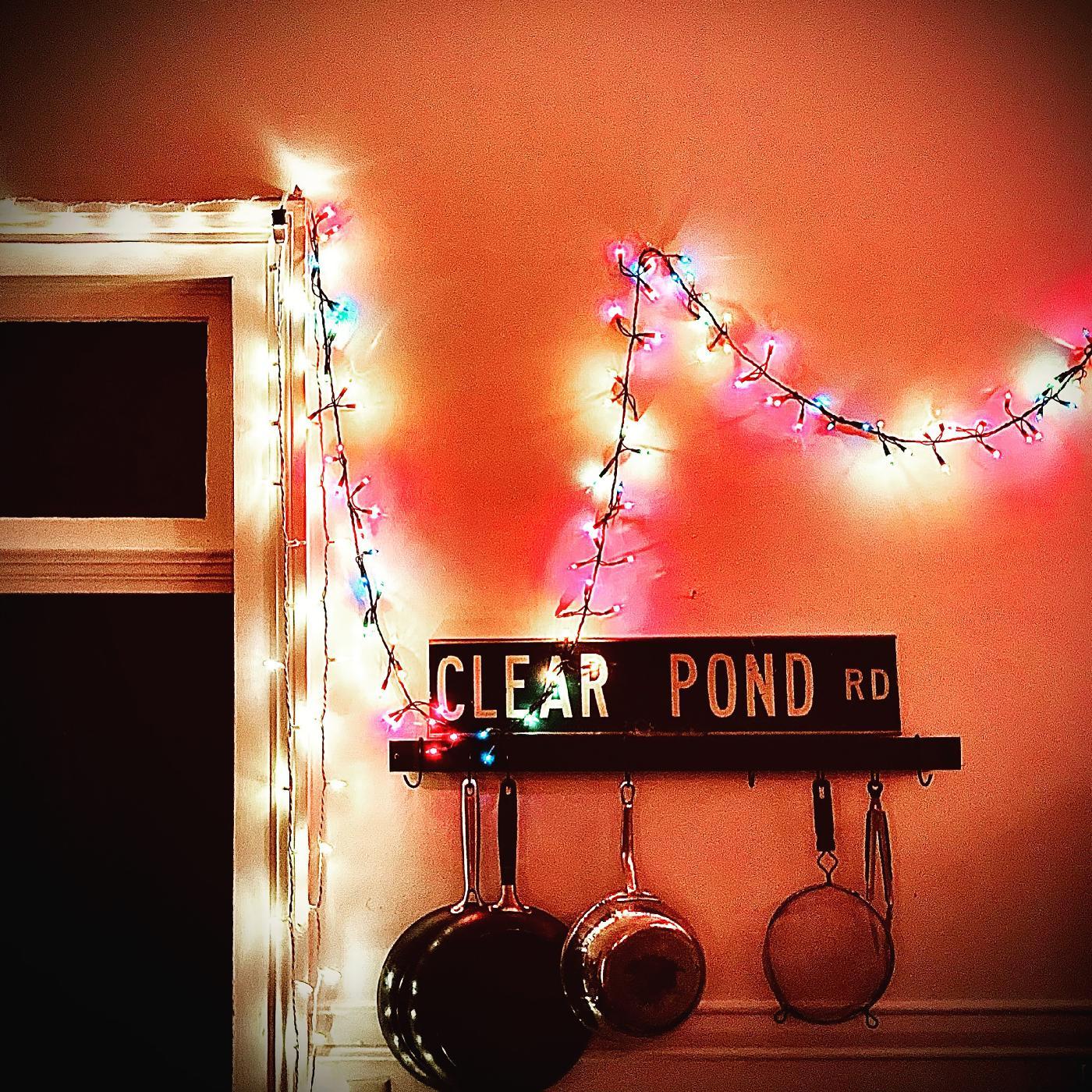 Kristin Hersh | Clear Pond Road (CLEAR VINYL) | Vinyl