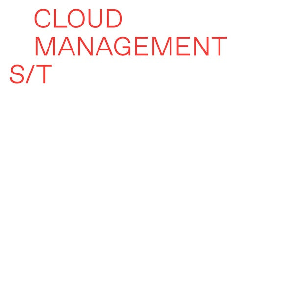 CLOUD MANAGEMENT - Cloud Management | Vinyl