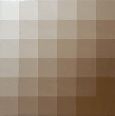 DONNACHA COSTELLO - Cocoa Color Series | Vinyl