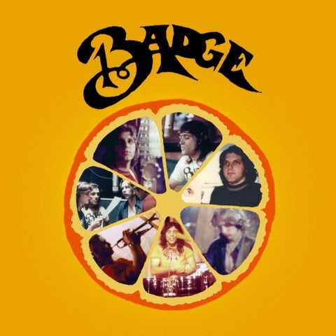 BADGE - Collected Singles | Vinyl