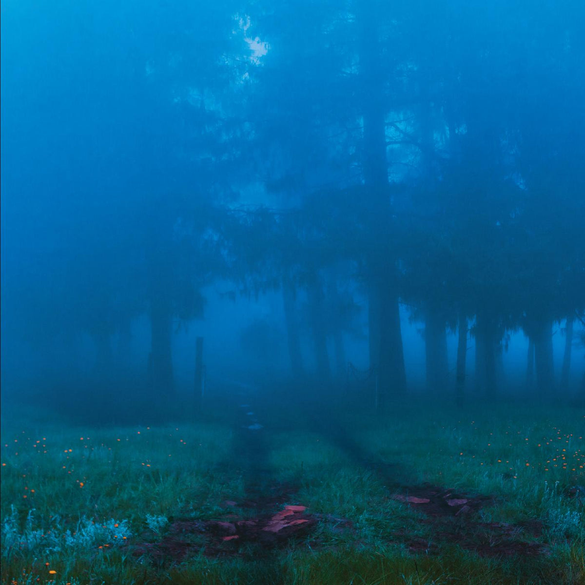 Various Artists - Commune | Vinyl
