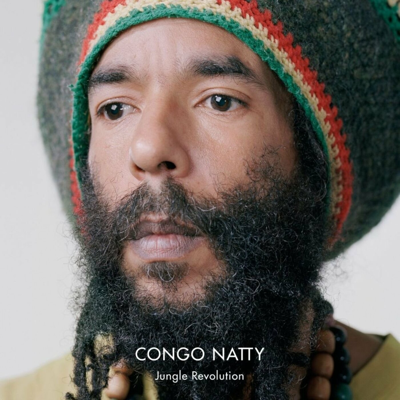 Congo Natty - Jungle Revolution | Vinyl