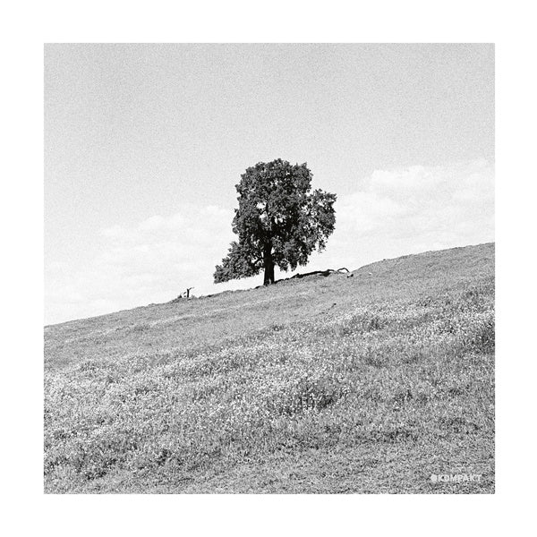 BLANK GLOSS - Cornered | CD