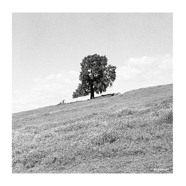 BLANK GLOSS - Cornered | Vinyl