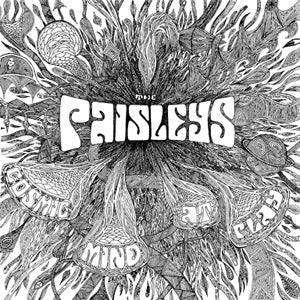 The Paisleys | Cosmic Mind At Play | Vinyl