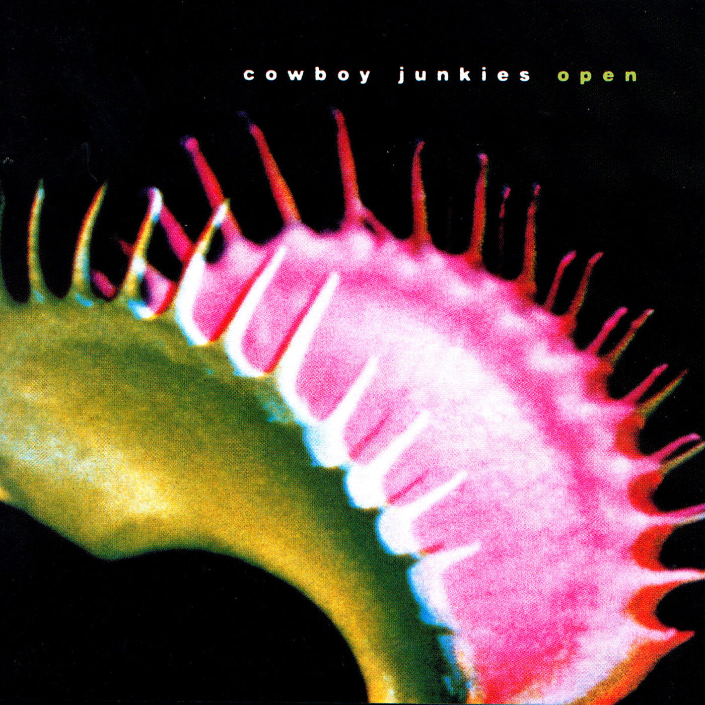 Cowboy Junkies - Open | CD