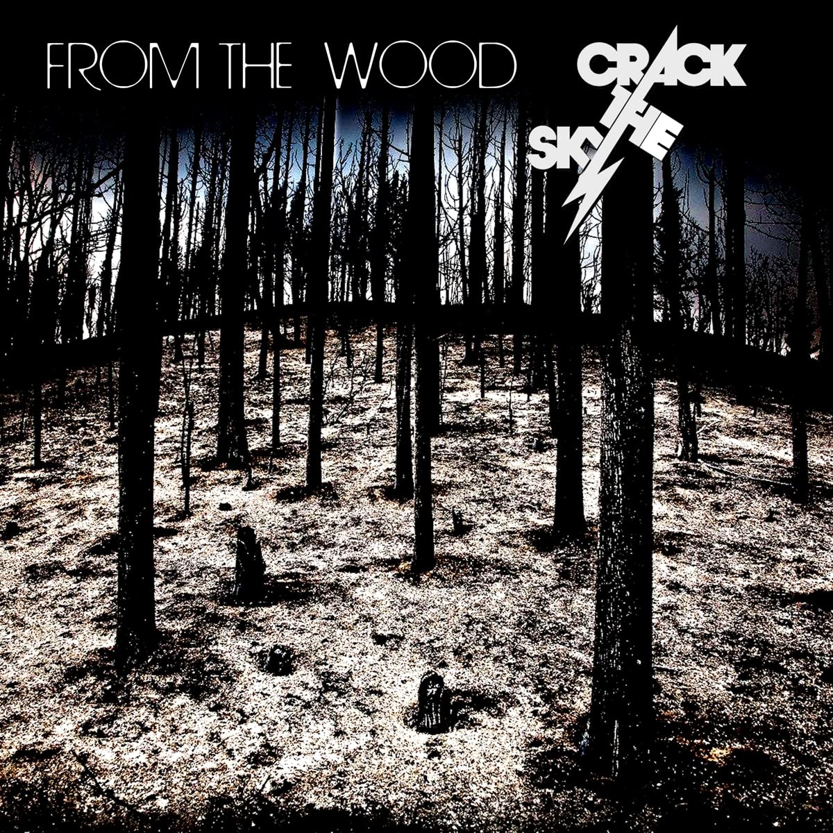 Crack the Sky - From The Wood | CD