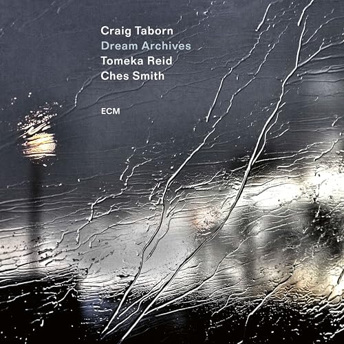 Craig Taborn/Tomeka Reid/Ches Smith | Dream Archives | CD