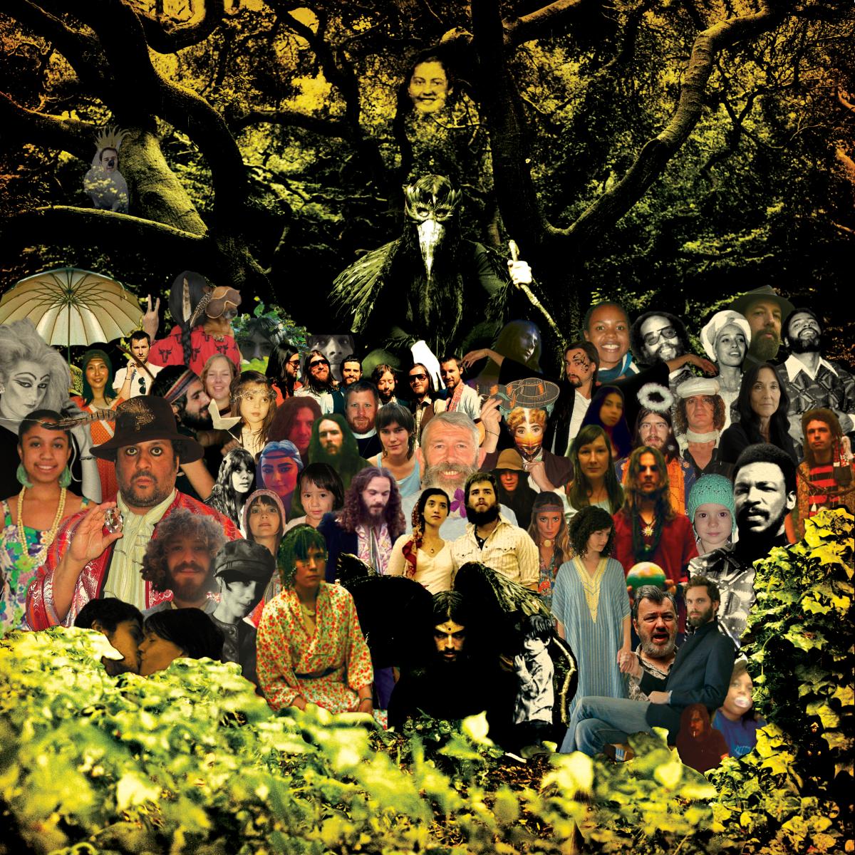 Devendra Banhart - Cripple Crow | Vinyl