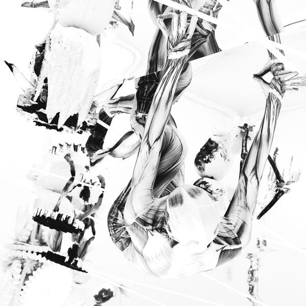BELP - Crocodile | Vinyl