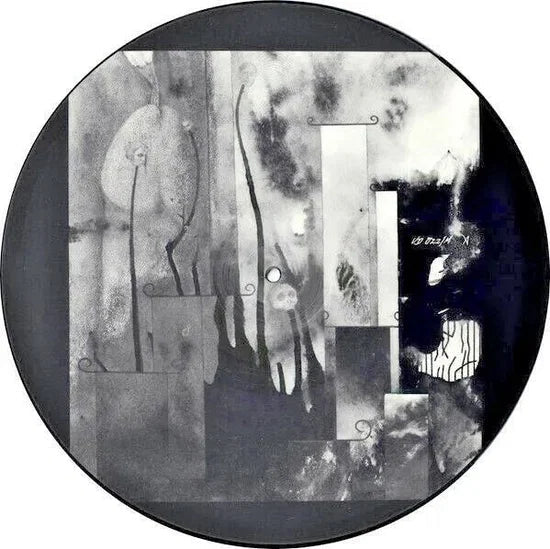 Current 93 - In Menstrual Night (12" Picture Disc) | Vinyl