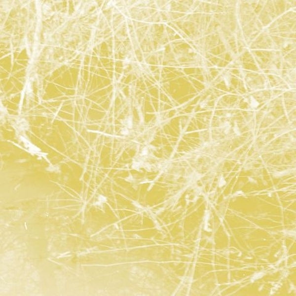 CELER - Cursory Asperses | CD