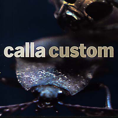 CALLA - Custom (The Remix Project) | CD