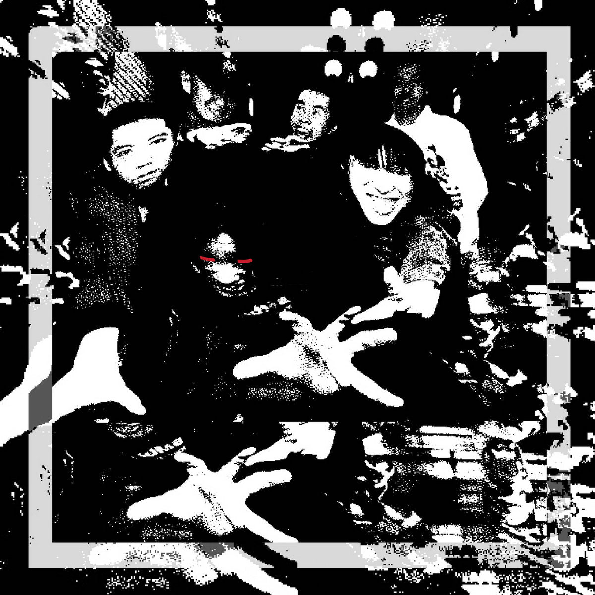 Cycheouts - Cycheouts' Counterattack: Best Cuts 1995-2000 | Vinyl