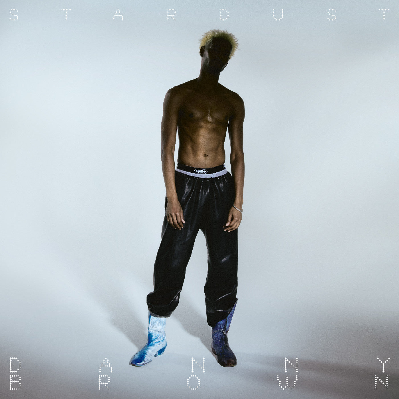 Danny Brown | Stardust | CD