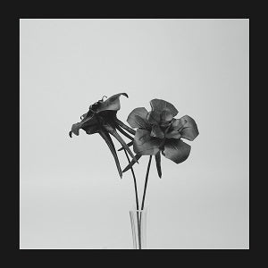 Jlin | Dark Lotus | Vinyl