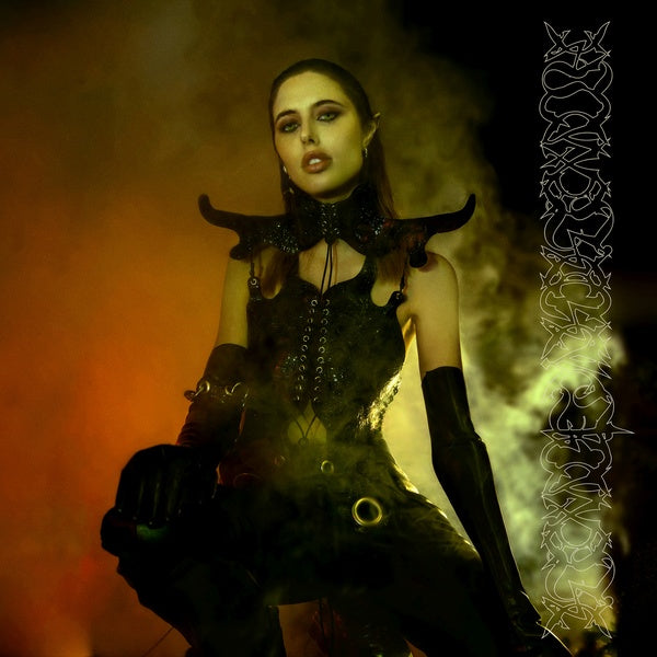 PTWIGGS - Darkening Of Light | Vinyl