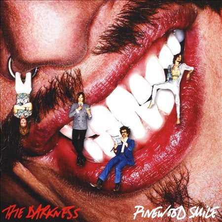 Darkness - PINEWOOD SMILE | CD