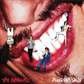Darkness - PINEWOOD SMILE | Vinyl