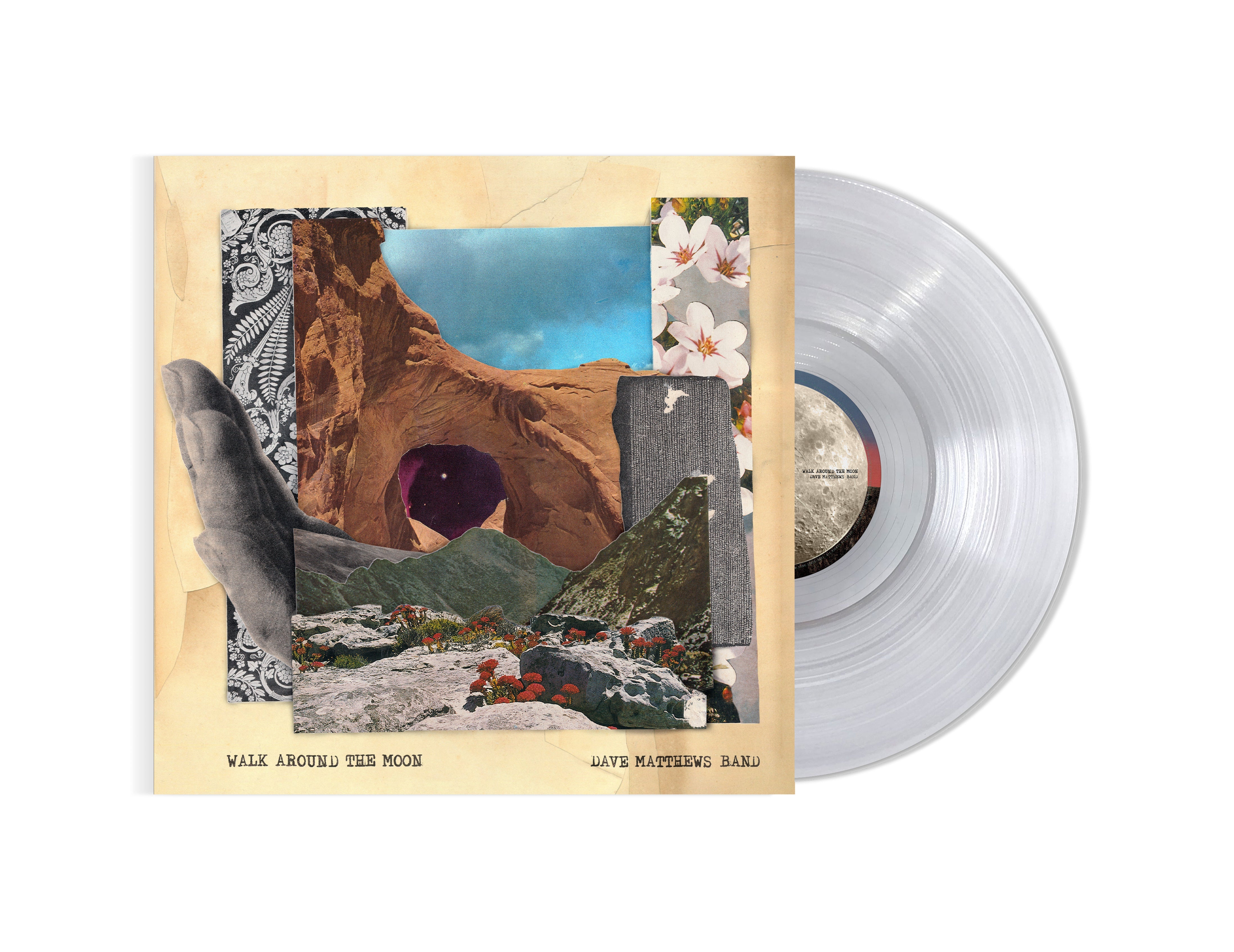 Dave Matthews Band - Walk Around The Moon (Clear Vinyl, Indie Exclusive) | Vinyl