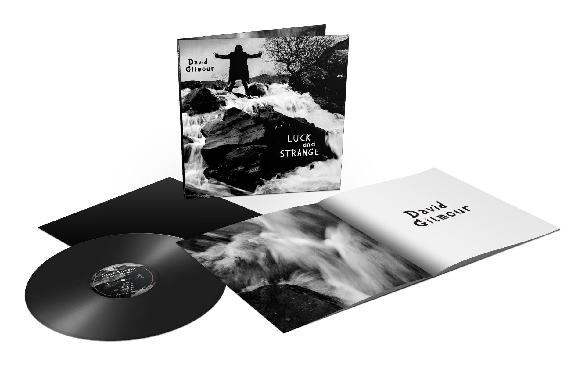 David Gilmour | Luck and Strange | Vinyl