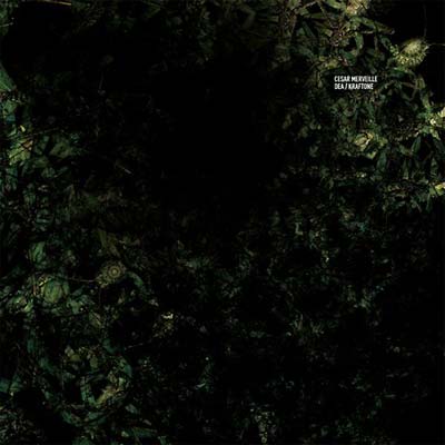 CESAR MERVEILLE - DEA/Kraftone | Vinyl
