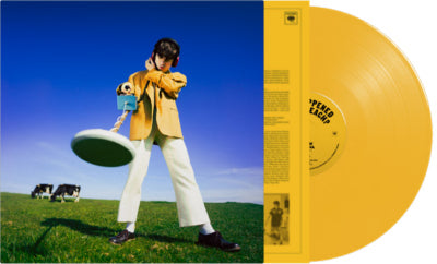 Declan McKenna - What Happened to the Beach? (Yellow Vinyl) [INDIE EX] | Vinyl