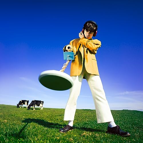 Declan McKenna - What Happened to the Beach? | CD