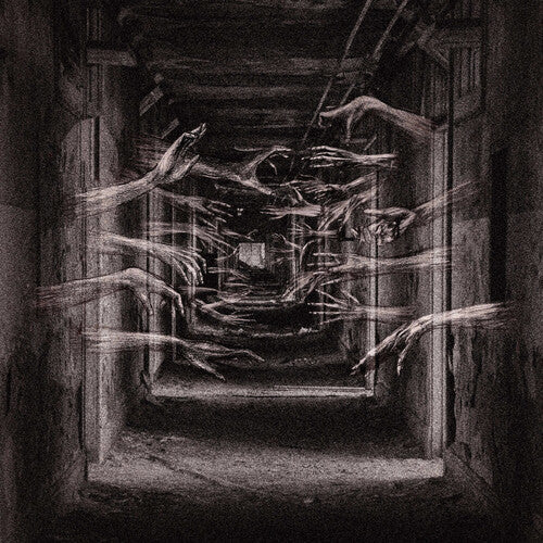 Demonic Possessor - Porous Chambers | Vinyl