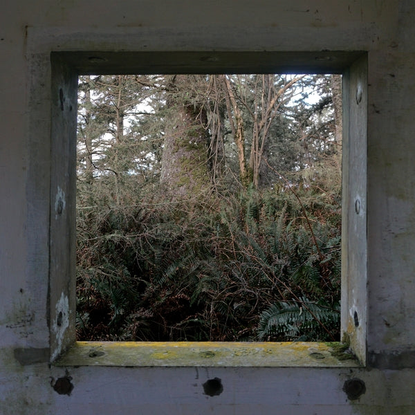 Derek Hunter Wilson - ScuLPtures [LP] | Vinyl