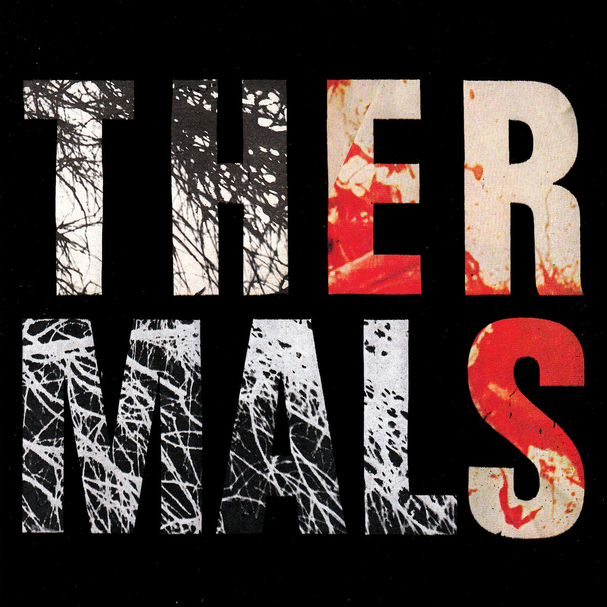 The Thermals - Desperate Ground | Vinyl