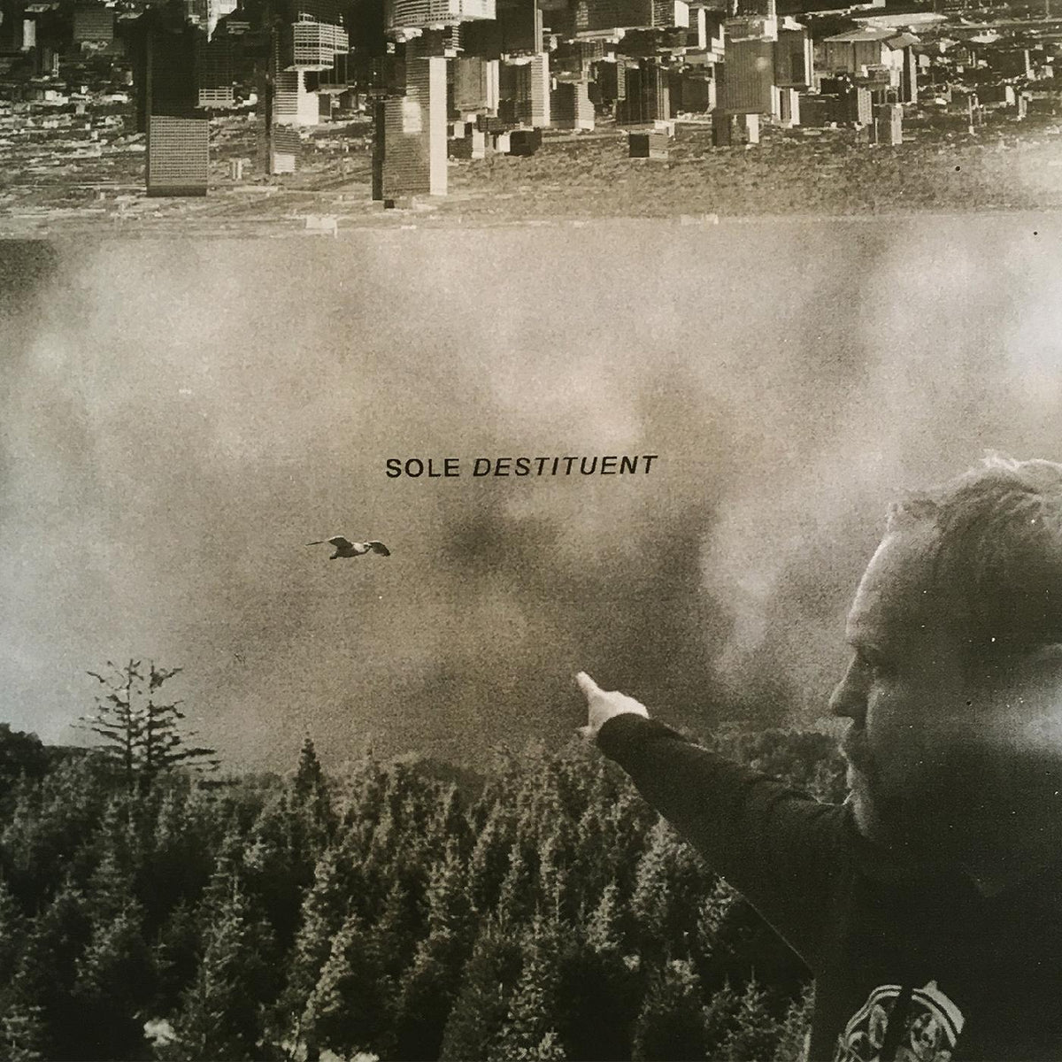 Sole - Destituent | Vinyl