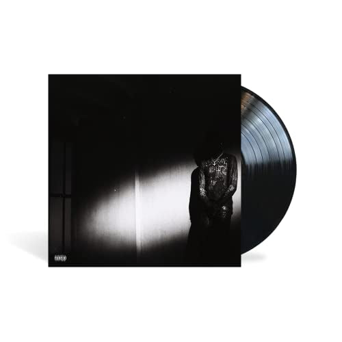 Destroy Lonely - NO STYLIST [LP] | Vinyl
