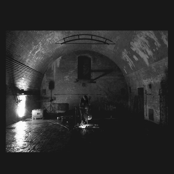Svarte Greiner - Devolving Trust | Vinyl