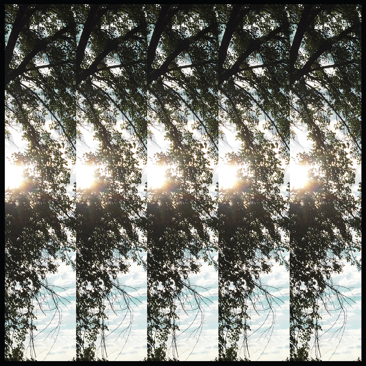 Pontiak - Dialectic of Ignorance | CD