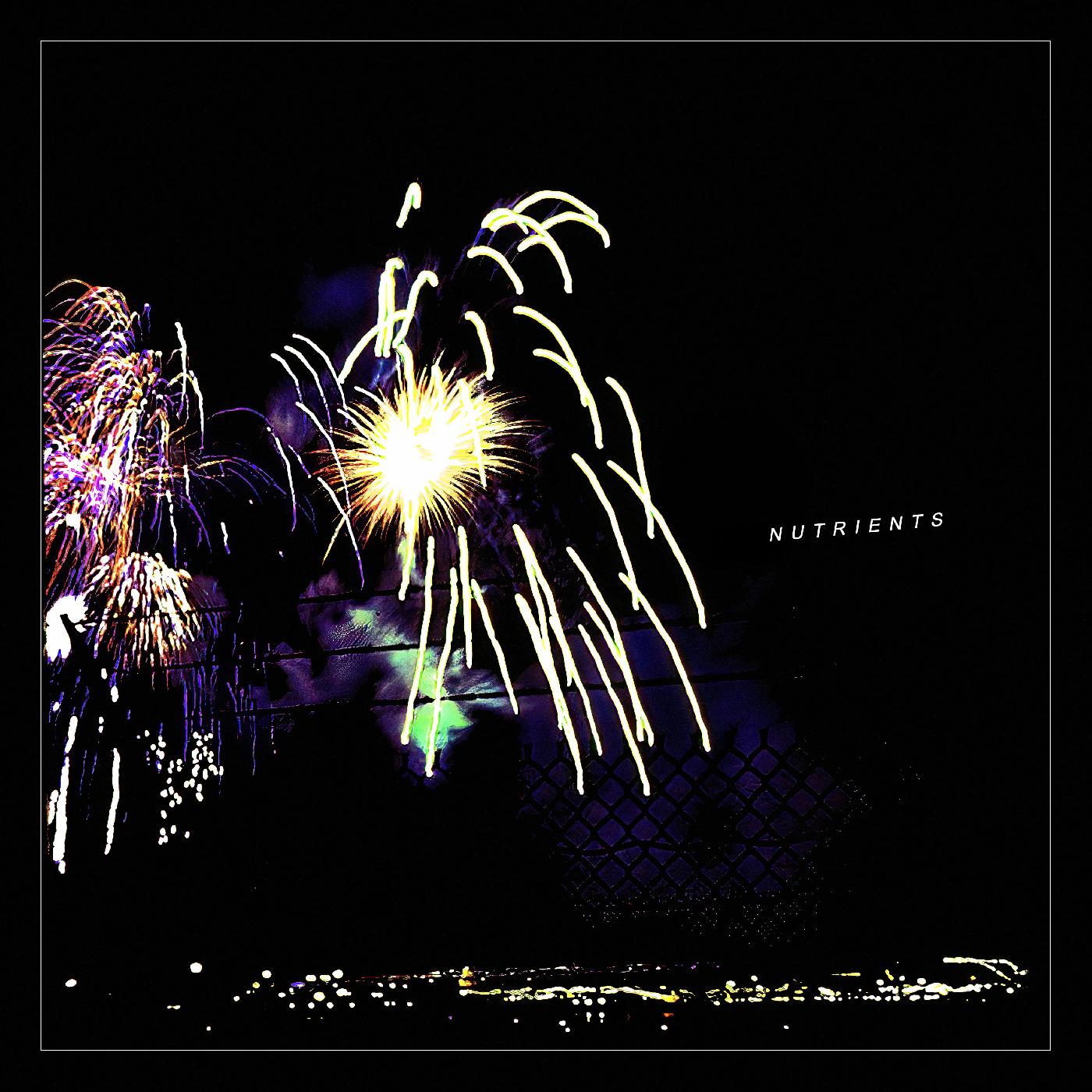 Nutrients | Different Bridges | Vinyl