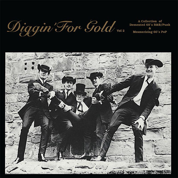 VA - Diggin' For Gold Volume 2 | Vinyl