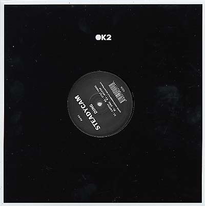 STEADYCAM - Ding | Vinyl