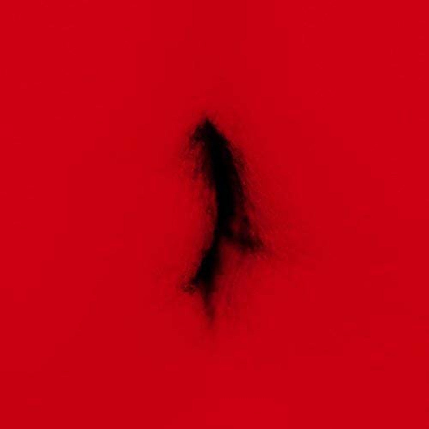 Dingwei - Untied | Vinyl