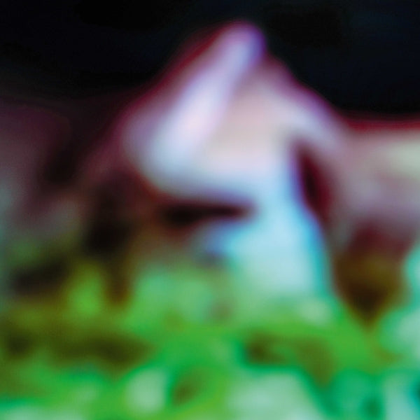 Hair & Treasure | Disc Rot | Vinyl
