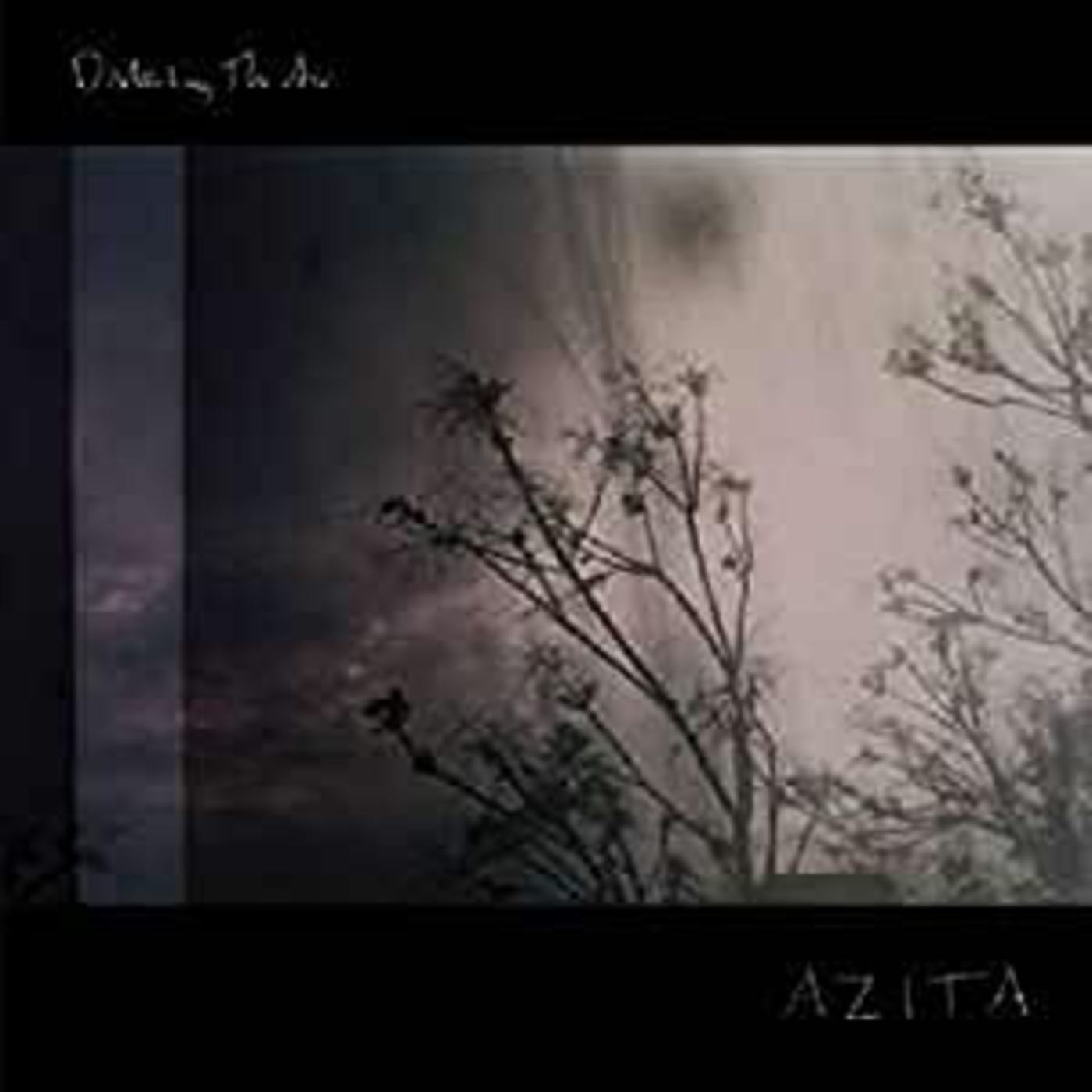 AZITA - Disturbing the Air | Vinyl