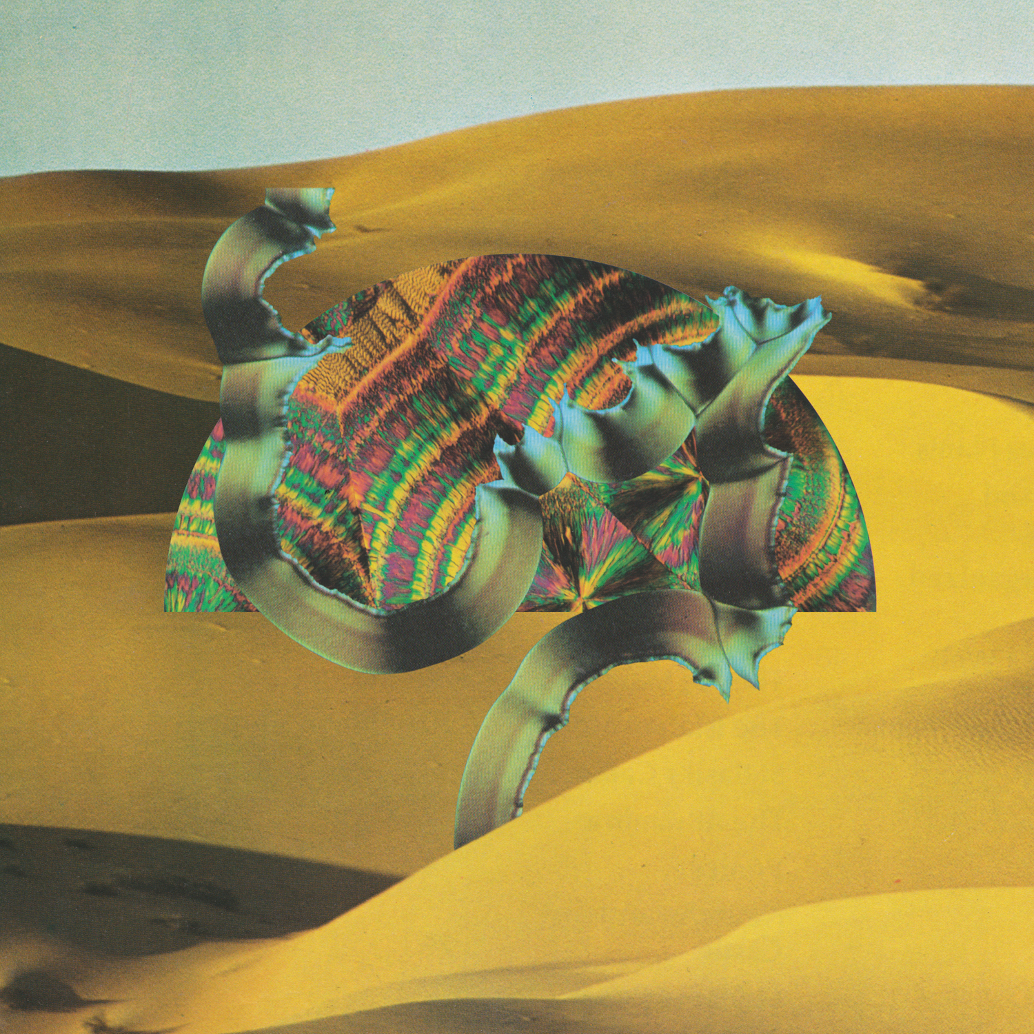 Django Django | Django Django | Vinyl