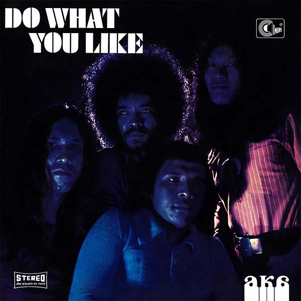 AKA - Do What You Like | CD