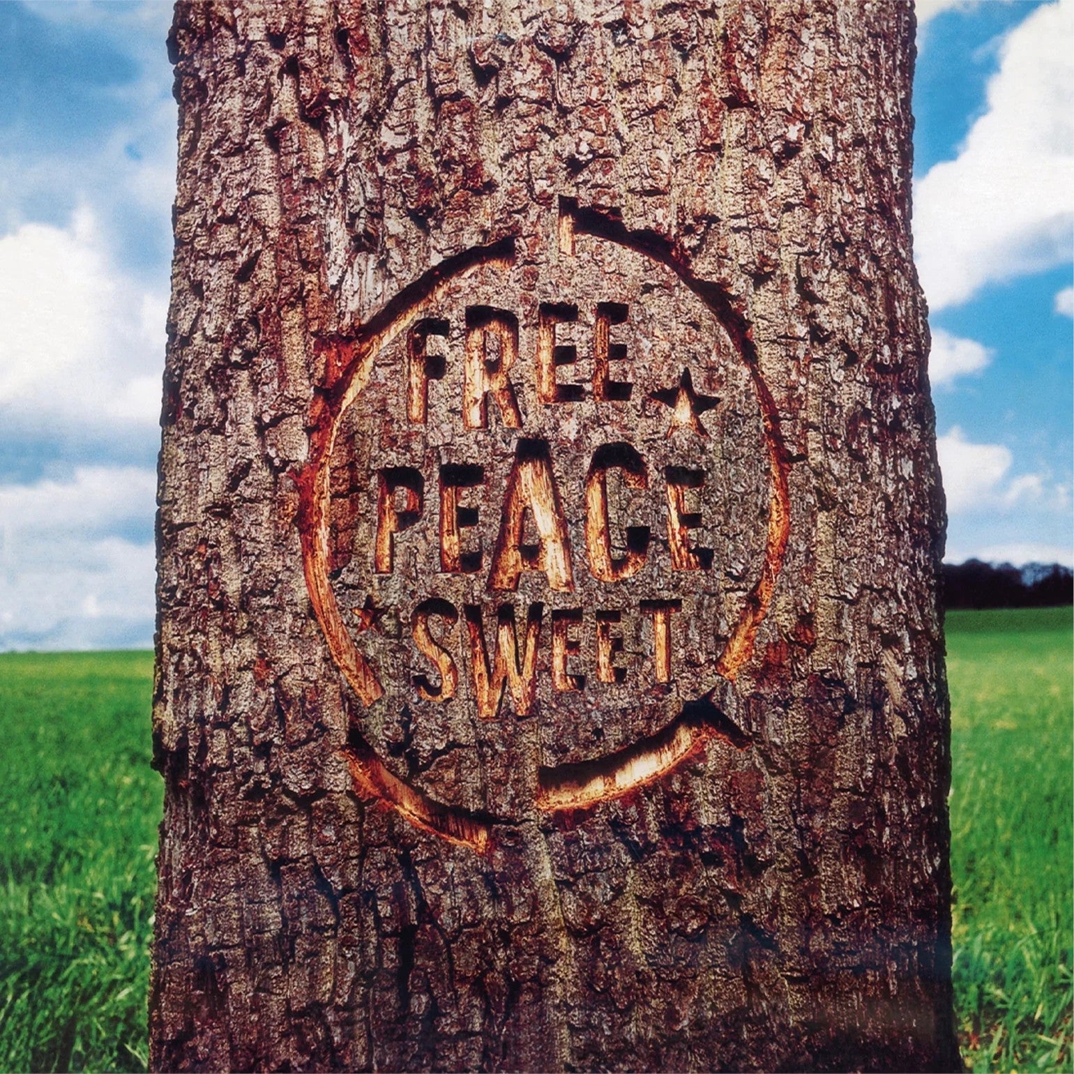 Dodgy - Free Peace Sweet [2LP] | Vinyl